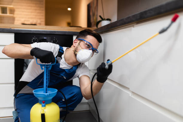 Best Pest Inspection Near Me  in Hartselle, AL