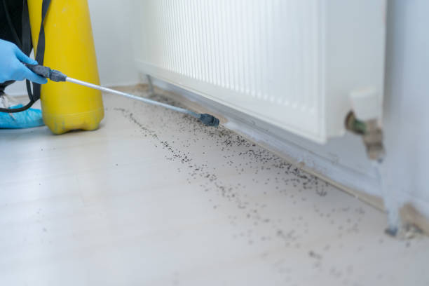 Best Cockroach Control Services  in Hartselle, AL