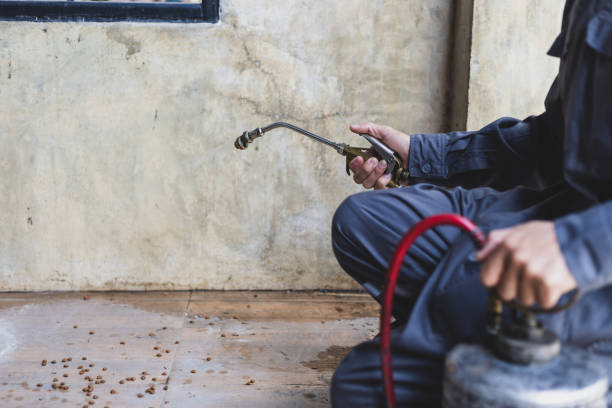Best Termite Control Services  in Hartselle, AL